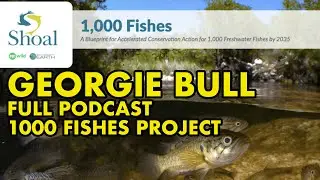 1000 Fishes Project ft Georgie Bull #149