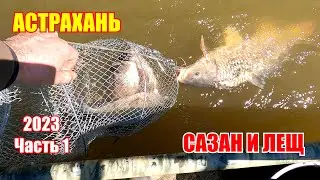 Астрахань 2023 / Сазан и лещ / Мумра /часть 1
