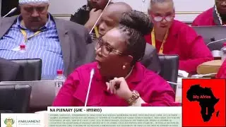 Chaos In Parliament - MK Party vs Minister of Public Works