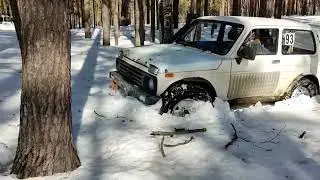 Мартовский YoжиК