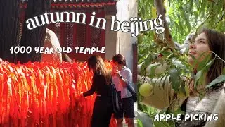 autumn in beijing vlog 🍂 1000 year old temple + apple picking