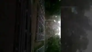Золотоноша буревій 01.06.2017