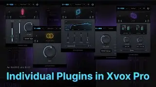 Individual Plugins Included in Xvox Pro