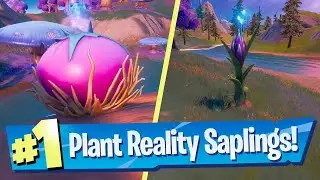 Plant or Summon Reality Saplings using Reality Seeds Location - Fortnite