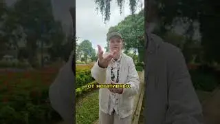 Чистка от негатива 