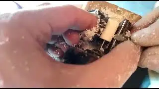 Мастер-класс от мастера(маслина для четок).