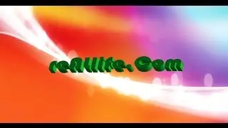 reALlife.Com Intro