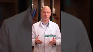 Стресс и ось «кишечник-мозг»