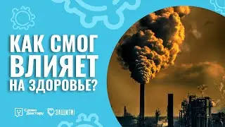 Как СМОГ ВЛИЯЕТ НА ЗДОРОВЬЕ?