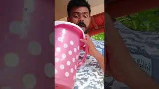 Oh My God 😥Watch Till End😂