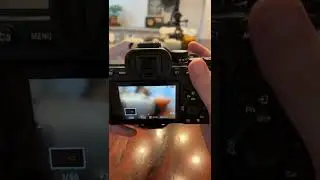 Sony a7IV How do I customize my dials and buttons? 