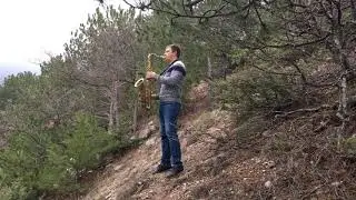 Ю.Антонов «У берёз и сосен» sax cover Sirota Makar