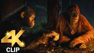 Apes Helps Human Scene | KINGDOM OF THE PLANET OF THE APES (2024) Movie CLIP 4K