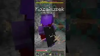 Sajgonek VS Kozako