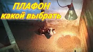 Какой же лучше!Что выбрать.Обогрев поросят.