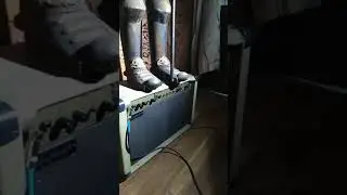 Westfield MVA 500 Amp
