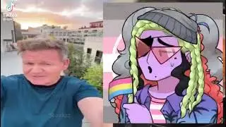 Based Gordon Ramsey
