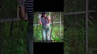 🤣 try not to laugh 🤣🤣#bombastic #funny #comedy #meme #trynottolaugh