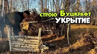 Бушкрафт укрытие || Поймал дикую птицу || Выход в лес