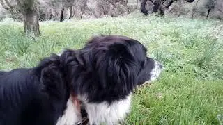 Orsi, Stella and Sicilian landsape