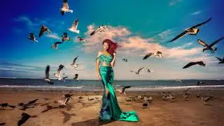 Sirena capturada en playas de veracruz