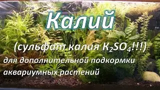 Калий (сульфат калия K2SO4!!!) для дополнительной подкормки аквариумных растений