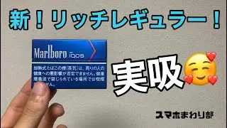 【最高傑作】アイコス新銘柄「リッチレギュラー」吸ってみた！旧レギュラーとも比較
