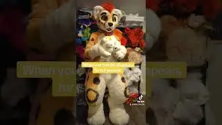 Fursuit Handlers 