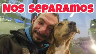 NOS SEPARAMOS... 🥹