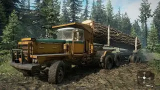 Transporting a sequoia tree Part II - SnowRunner | Thrustmaster TMX gameplay