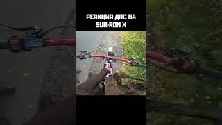 РЕАКЦИЯ ДПС НА SUR-RON X. #shorts #stunt #surron #ebike #pitbike #moto #enduro #питбайк #дпс