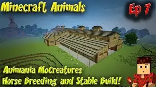 Minecraft Animals Ep7 Animania MoCreatures Horse Breeding and Stable Build