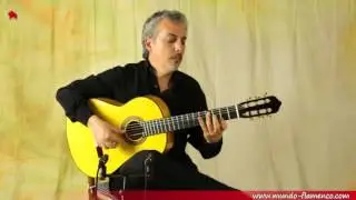 Pedro Javier González, Pueblo Blanco