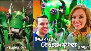 How does a Grasshopper jump? | The Robot Zoo | Maddie Moate