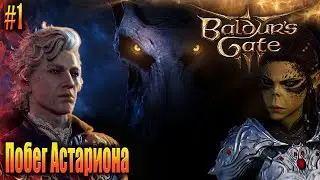Baldur's gate 3 прохождение #1 Побег плута Астариона