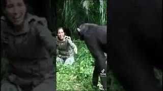 Самое милое видео