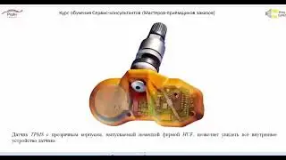 Система контроля давления в шинах (TPMS).  Устройство и принцип действия