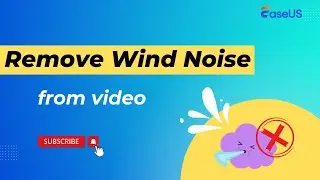 Remove Wind Noise from Video in 2 Free Ways