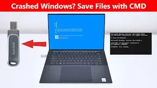 Recover Your Data from a Crashed Windows to a USB Drive Using Command Prompt