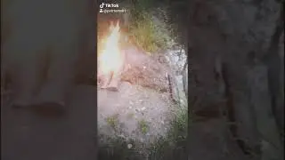 Tik tok