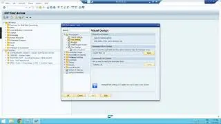 How to Change SAP GUI Theme View