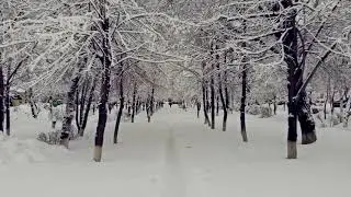 Проба№2