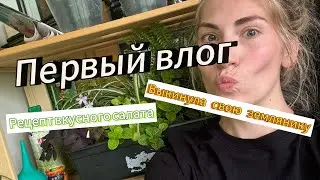 ПЕРВЫЙ ВЛОГ. Мой цветочно-огородный балкон. Выкинула свою землянику. Рецепт вкусного салата 20.06.24