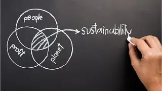 Strategic Sourcing in the Circular Economy