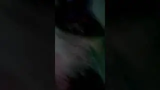 Пытки в ФСИН России по Томский Области Уфиц при Фку ик-4