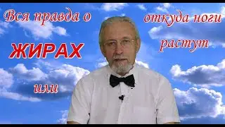 Вся правда о жирах или откуда ноги растут.