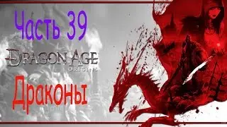 Драгон Эйдж Начало прохождение. Dragon Age Origins. Часть 39. Драконы.