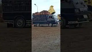 truck truck skill tingkat dewa#skiils