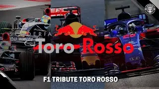 F1 Tribute Toro Rosso