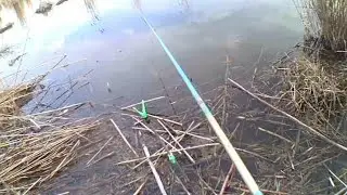 рыбалка на лесном озере,в поисках карася.